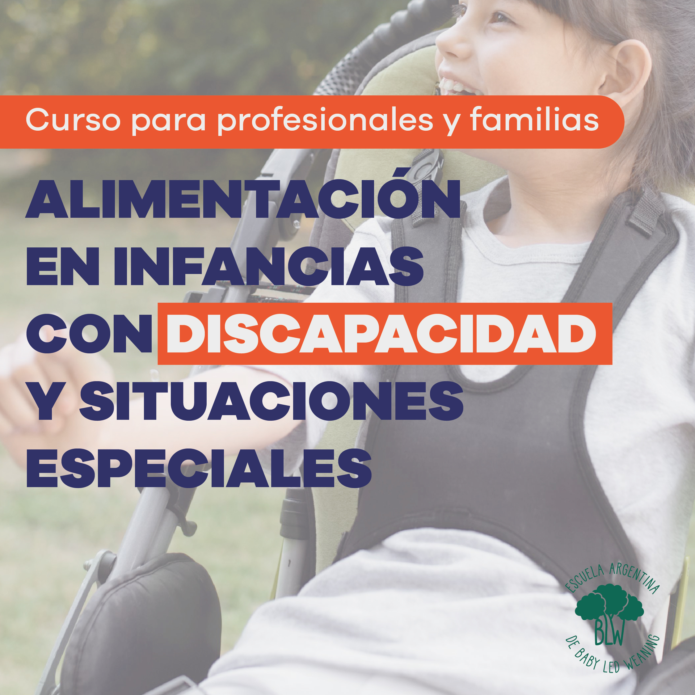4_cursos_2