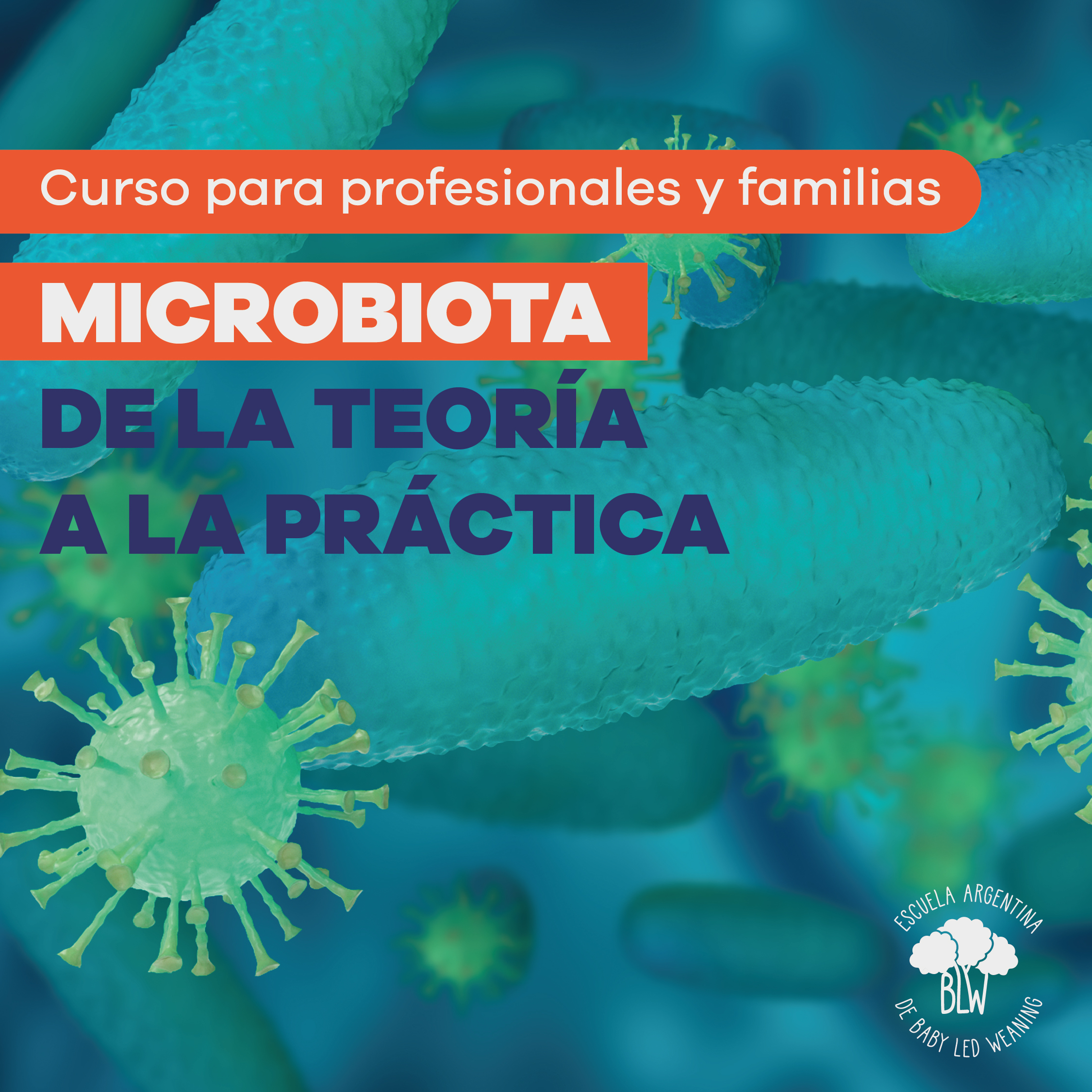 4_cursos_3